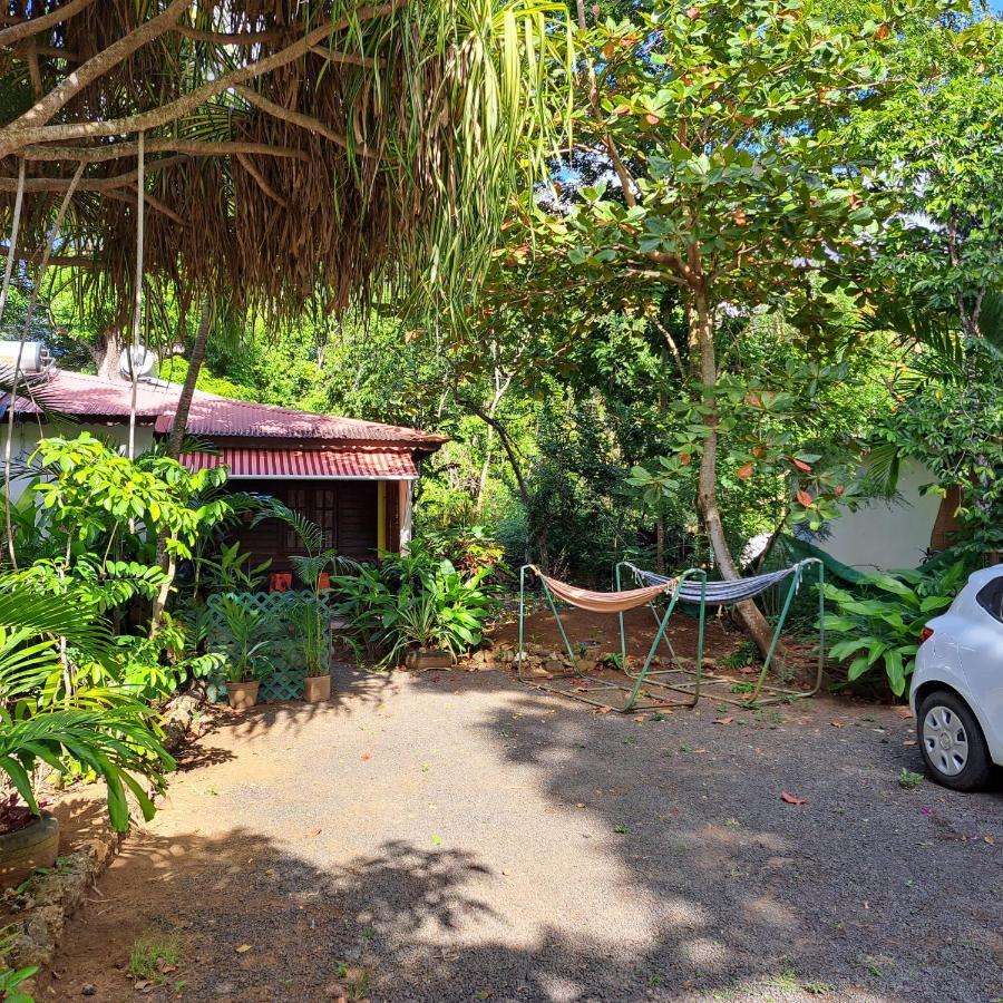 Residence Les Manguiers ポワント・ノワール エクステリア 写真
