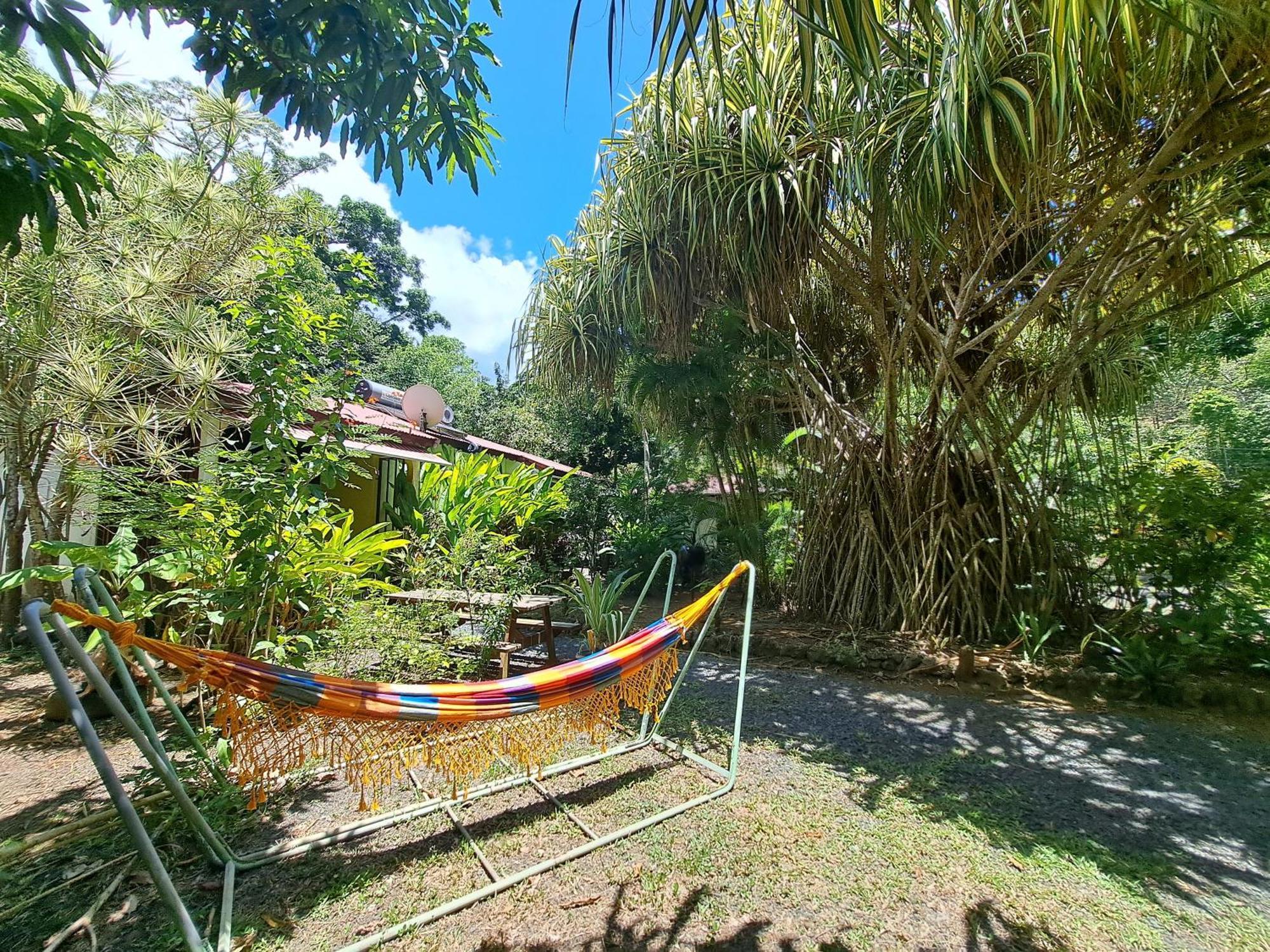Residence Les Manguiers ポワント・ノワール エクステリア 写真