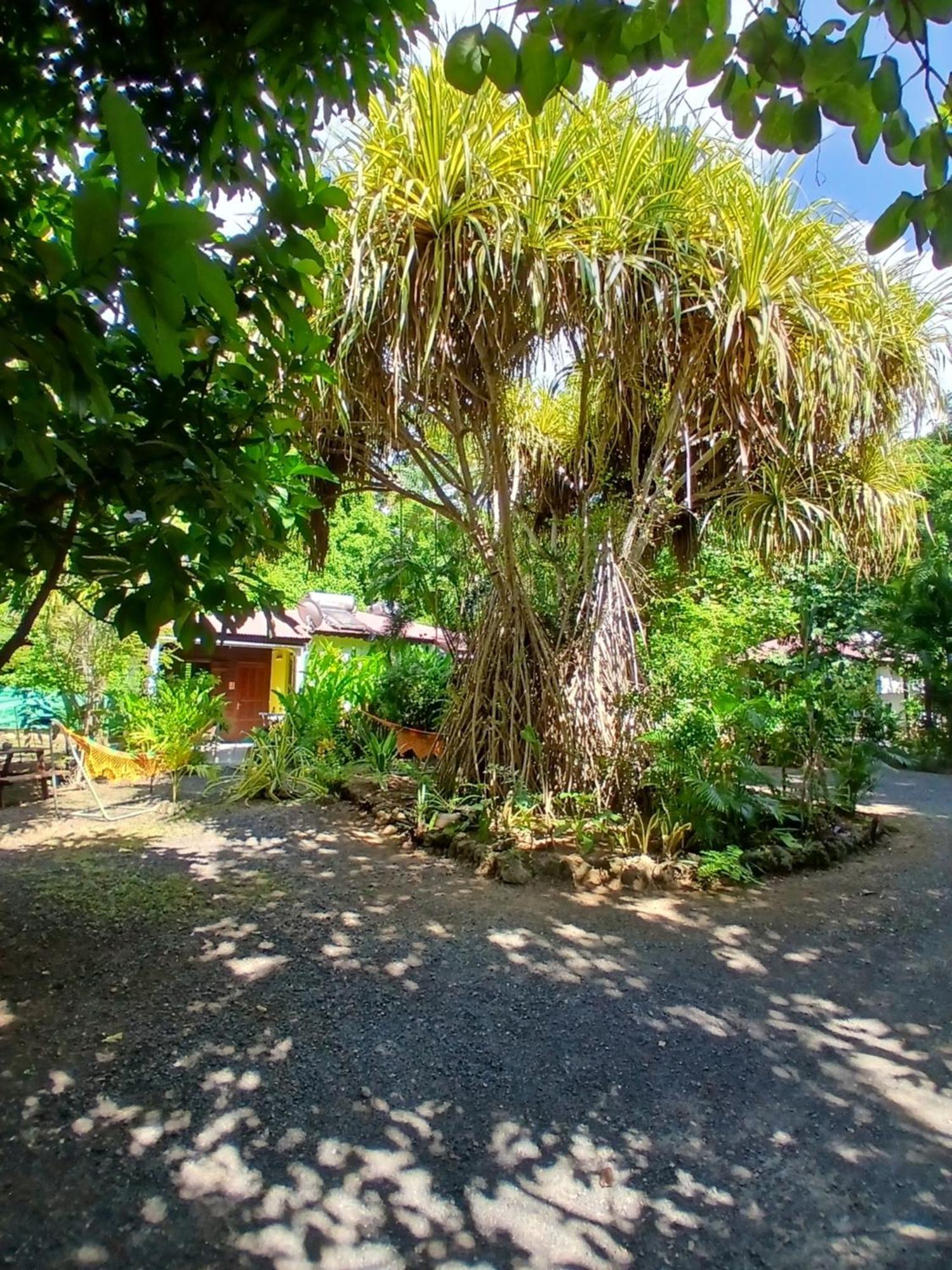 Residence Les Manguiers ポワント・ノワール エクステリア 写真