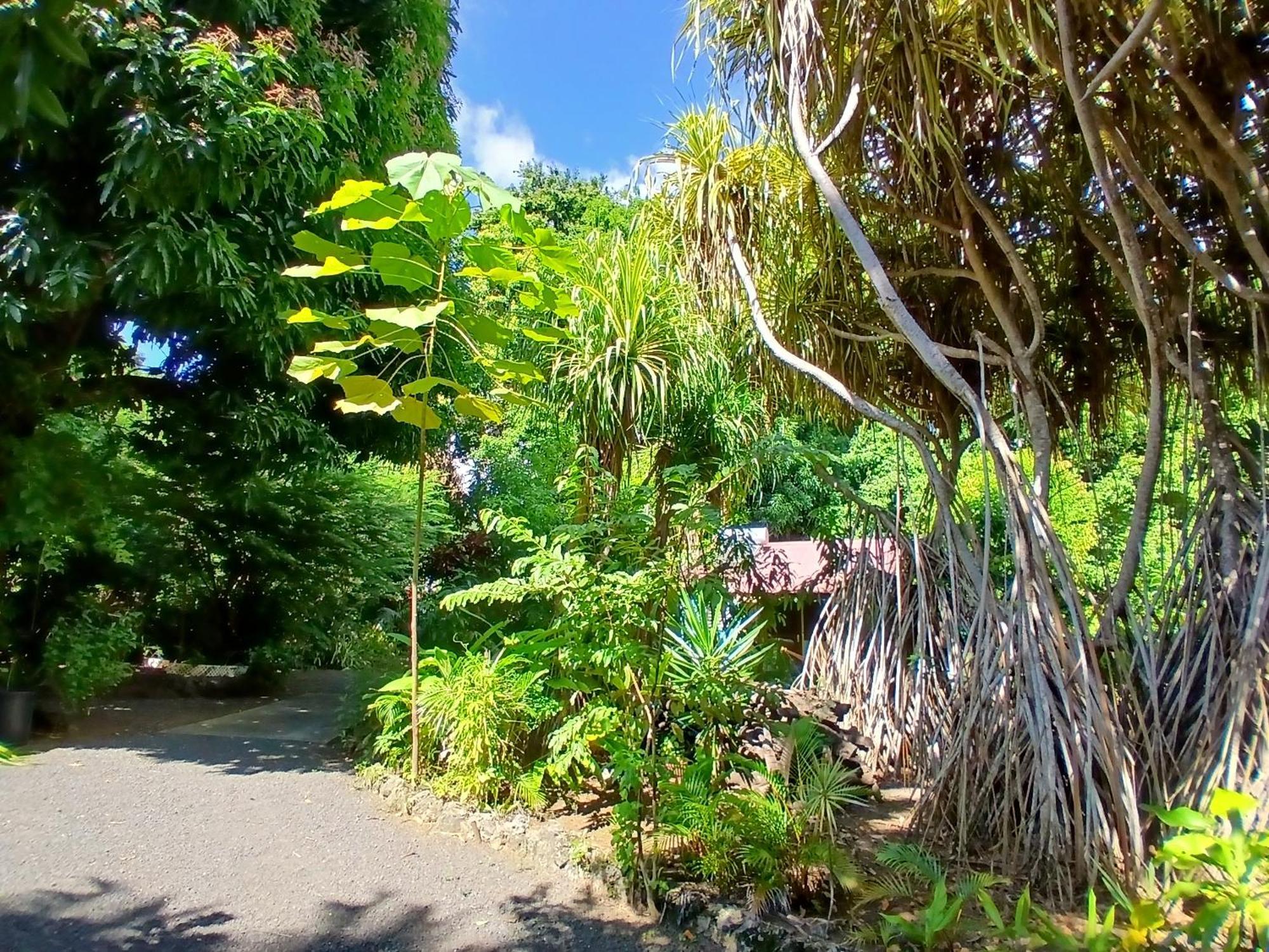 Residence Les Manguiers ポワント・ノワール エクステリア 写真