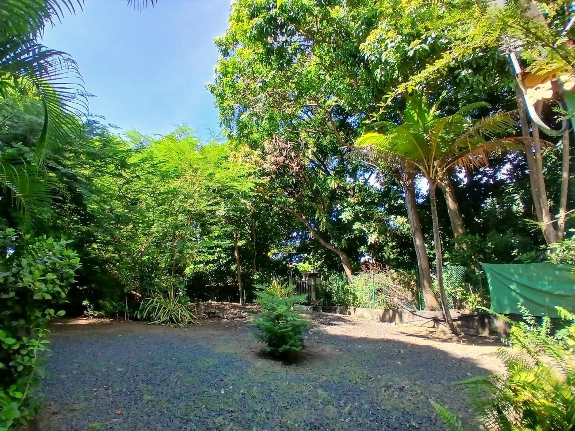 Residence Les Manguiers ポワント・ノワール エクステリア 写真