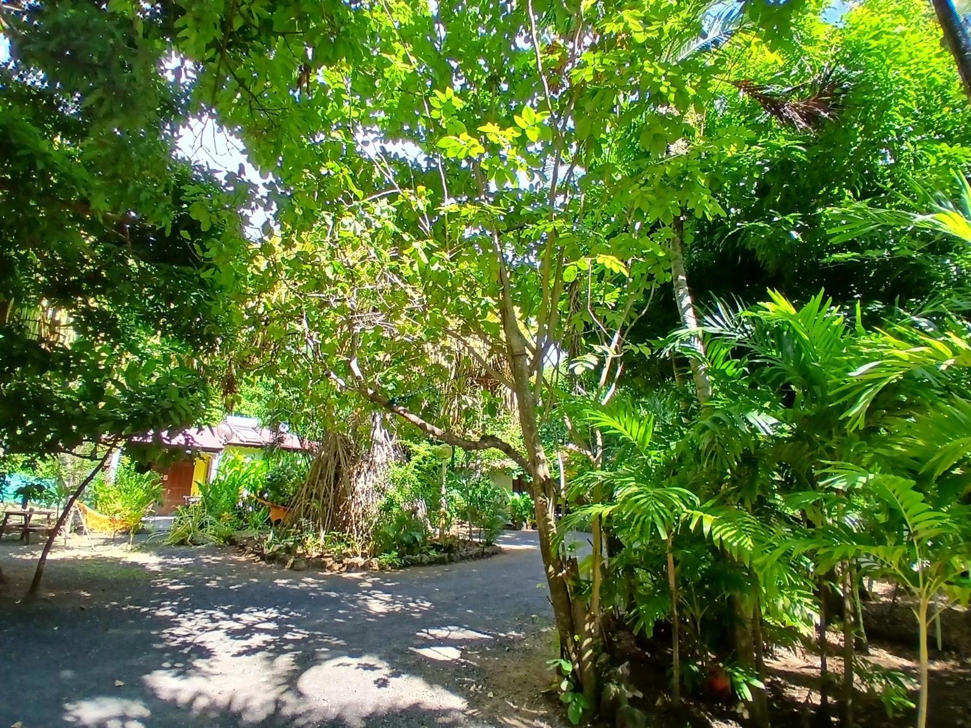 Residence Les Manguiers ポワント・ノワール エクステリア 写真