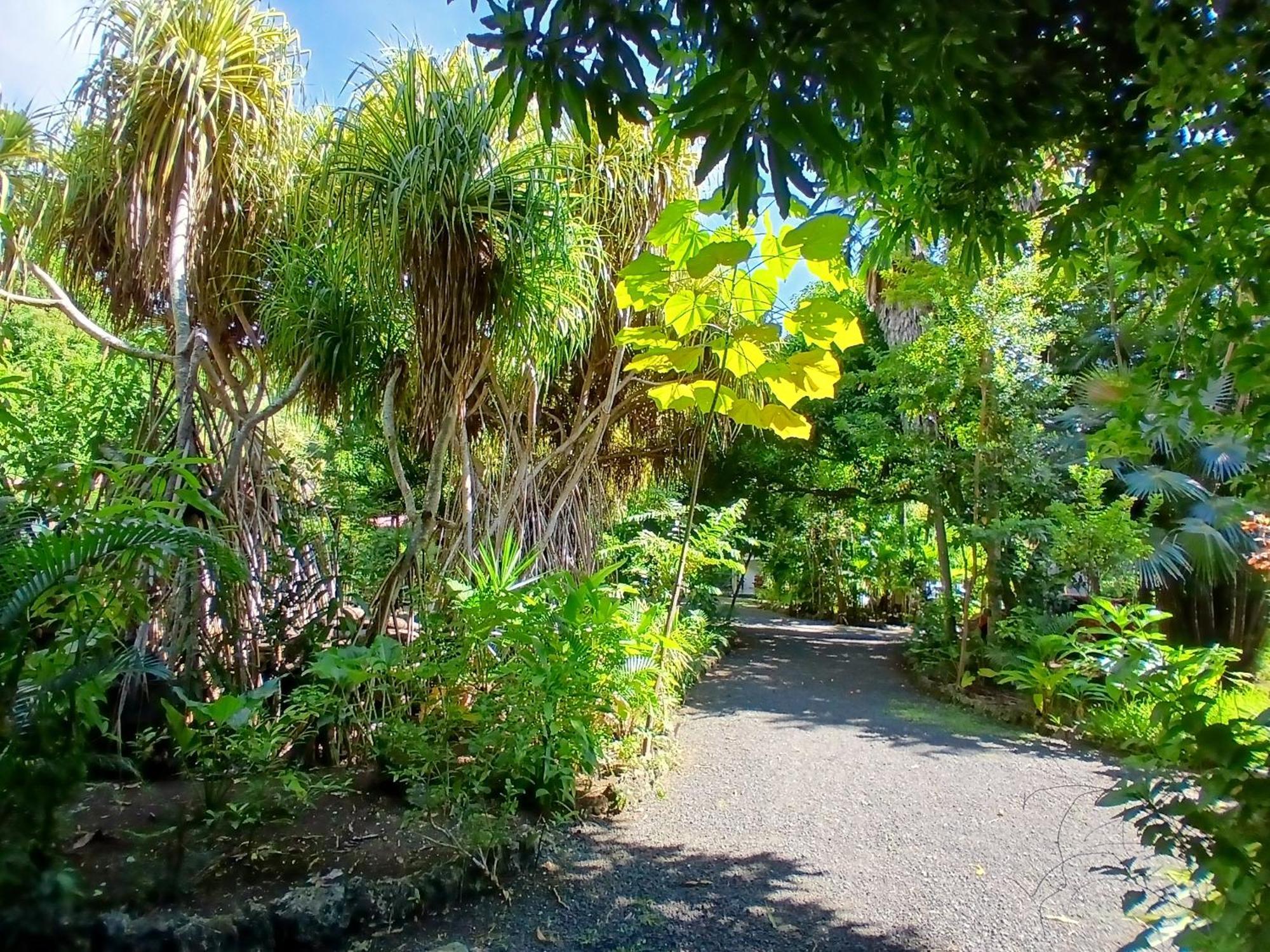 Residence Les Manguiers ポワント・ノワール エクステリア 写真