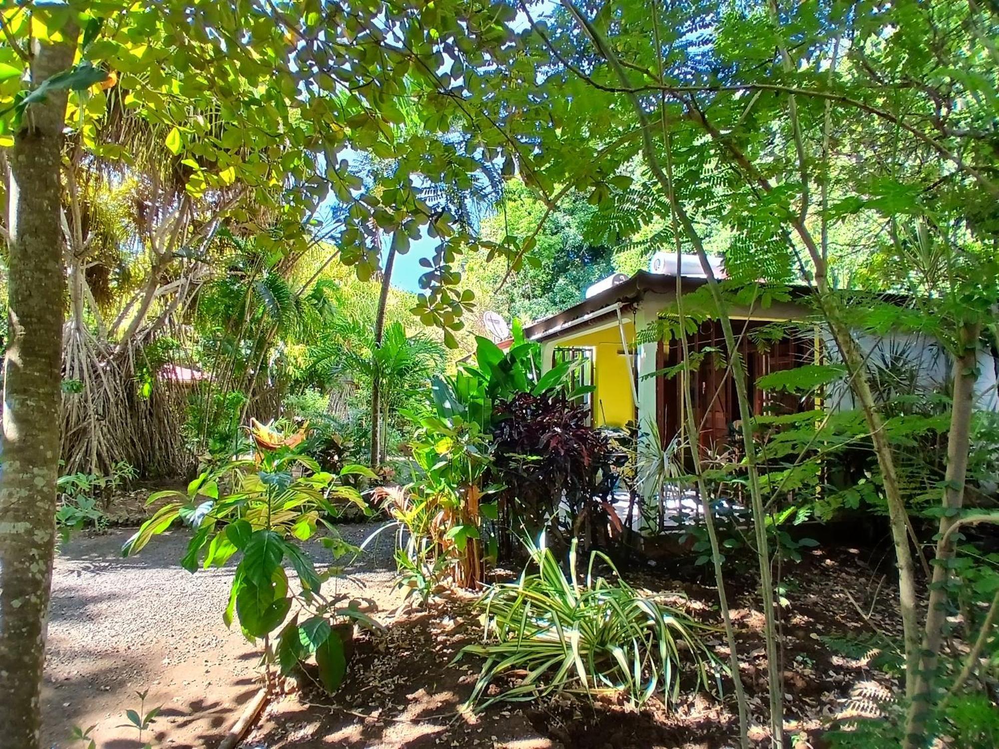 Residence Les Manguiers ポワント・ノワール エクステリア 写真