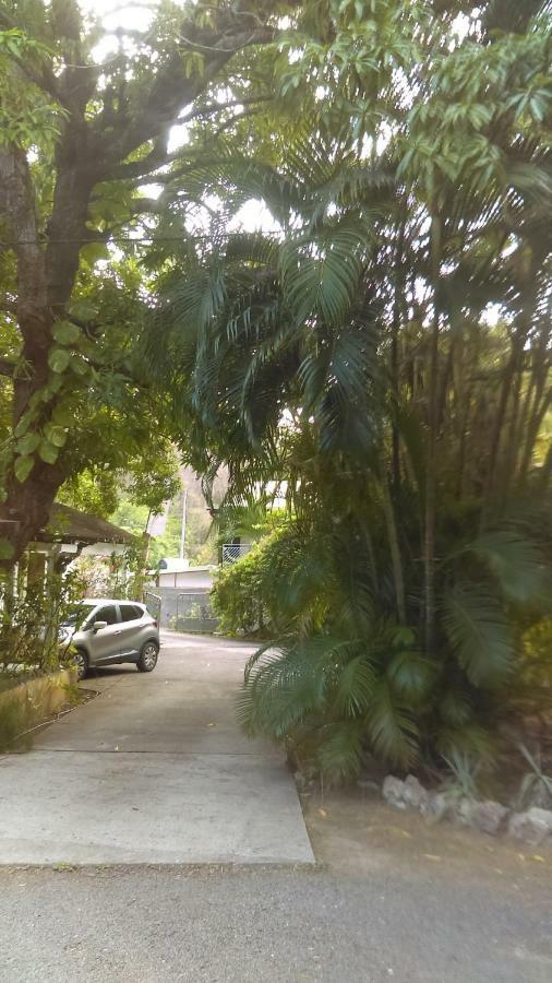 Residence Les Manguiers ポワント・ノワール エクステリア 写真
